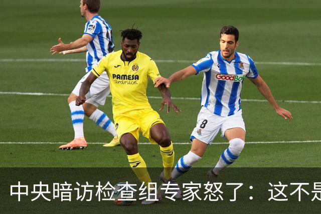 中央暗访检查组专家怒了：这不是开玩笑吗？