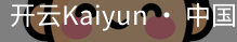 开元国际